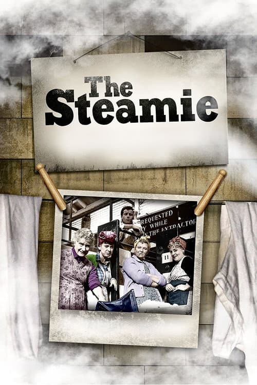 Постер: The Steamie