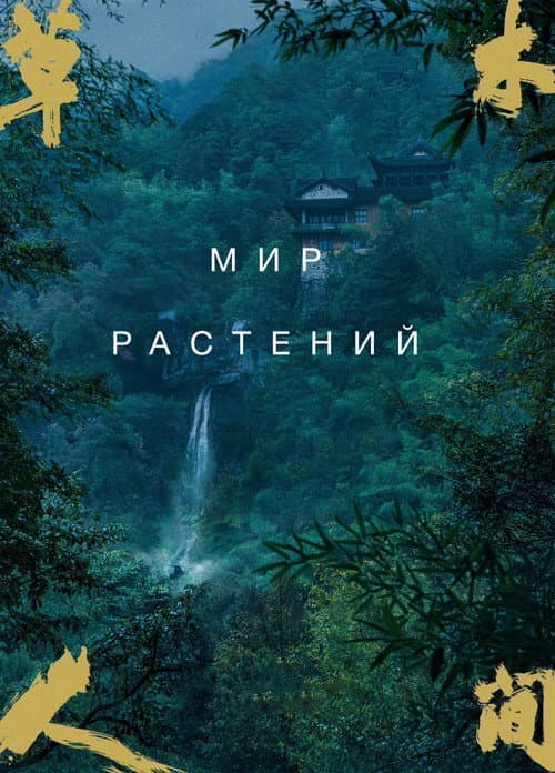 Кадр 2