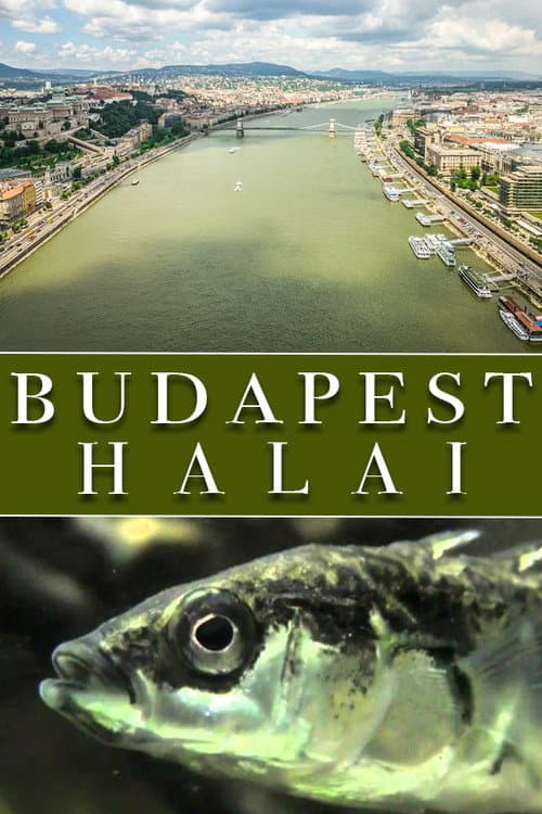 Постер: Budapest halai