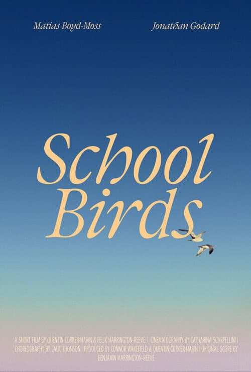Постер: School Birds