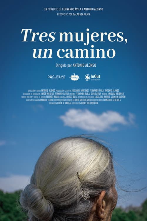 Постер: Tres mujeres, un camino
