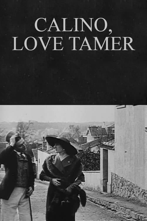 Постер: Calino, dompteur par amour