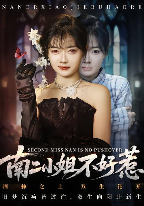 Постер: 南二小姐不好惹