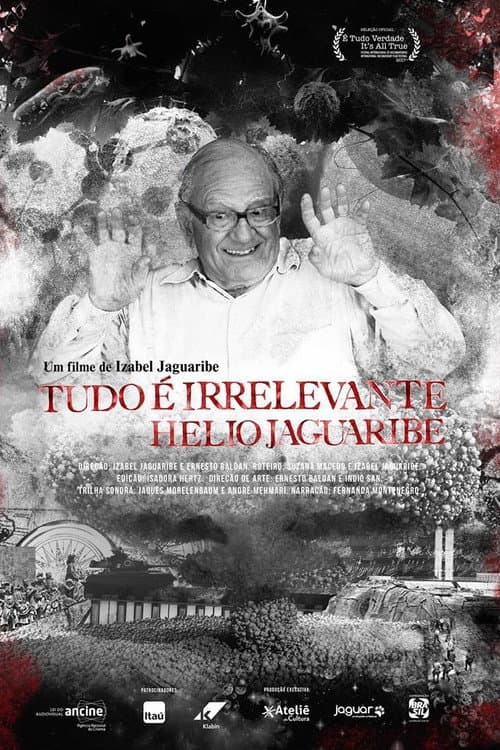 Постер: Tudo é Irrelevante. Hélio Jaguaribe