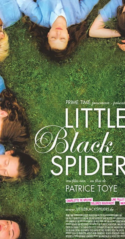 Постер: Little Black Spiders
