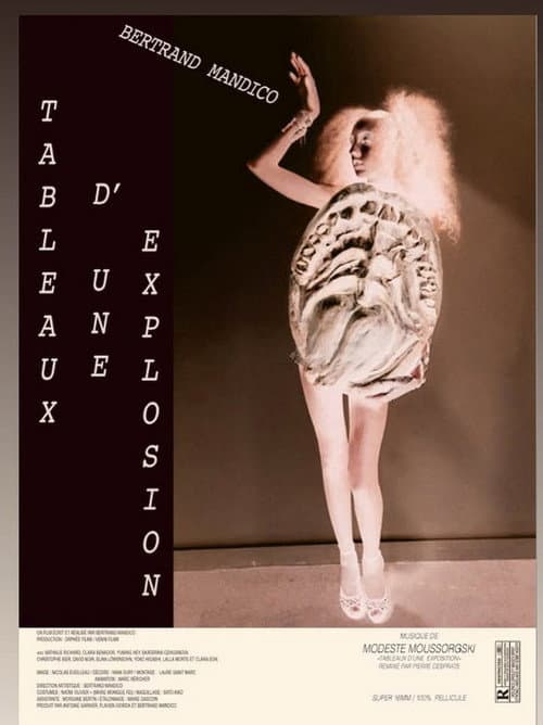 Постер: Tableaux d'une explosion