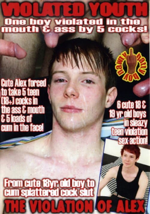 Постер: The Violation of Alex