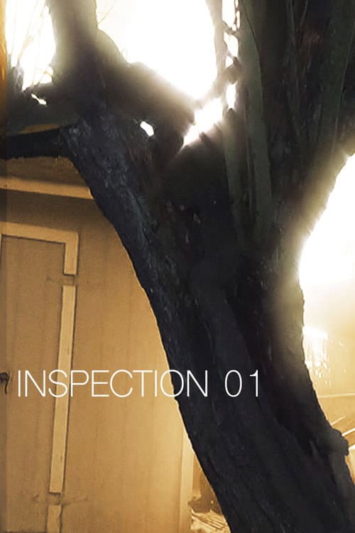 Постер: Inspection 01