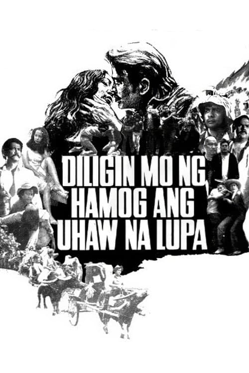 Постер: Diligin mo ng Hamog ang Uhaw na Lupa
