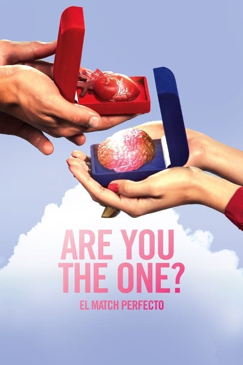 Постер: Are You the One? El match perfecto
