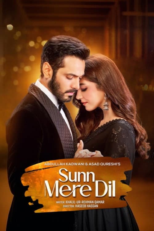 Постер: Sunn Mere Dil