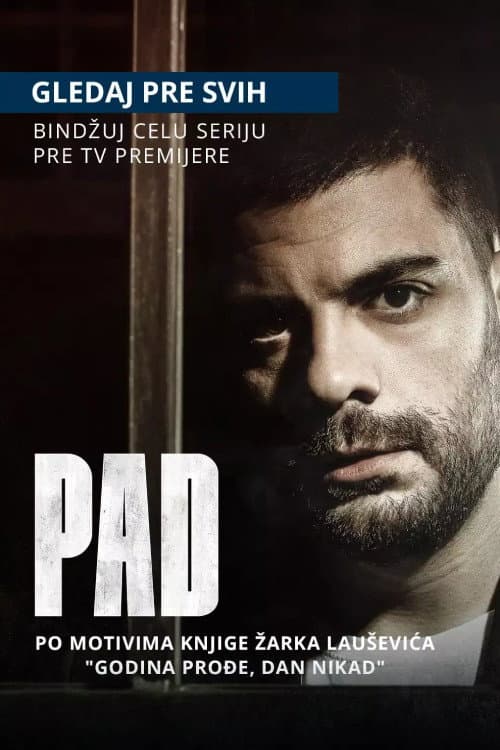 Постер: Pad