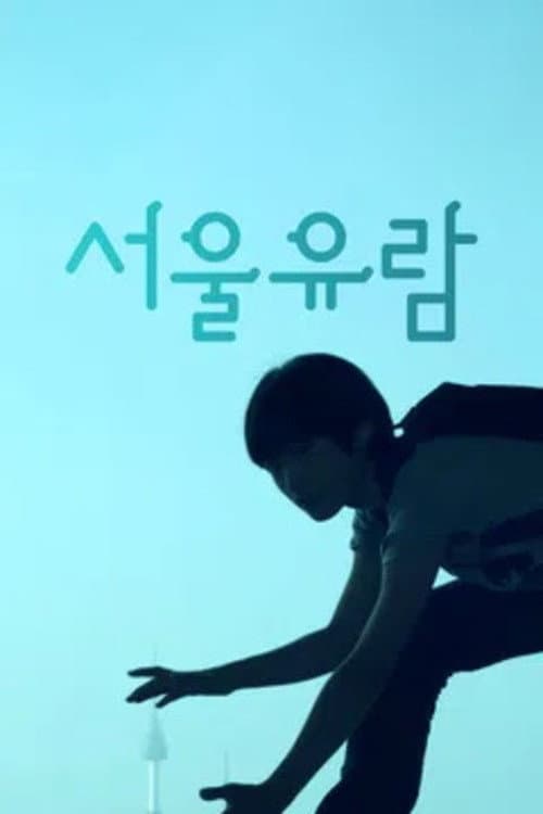 Постер: 서울유람
