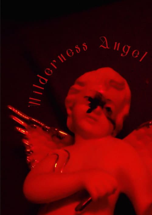 Постер: Wilderness Angel
