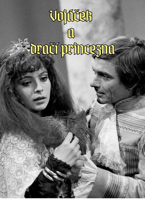 Постер: Vojáček a dračí princezna
