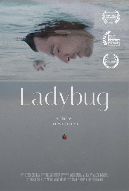 Постер: Ladybug