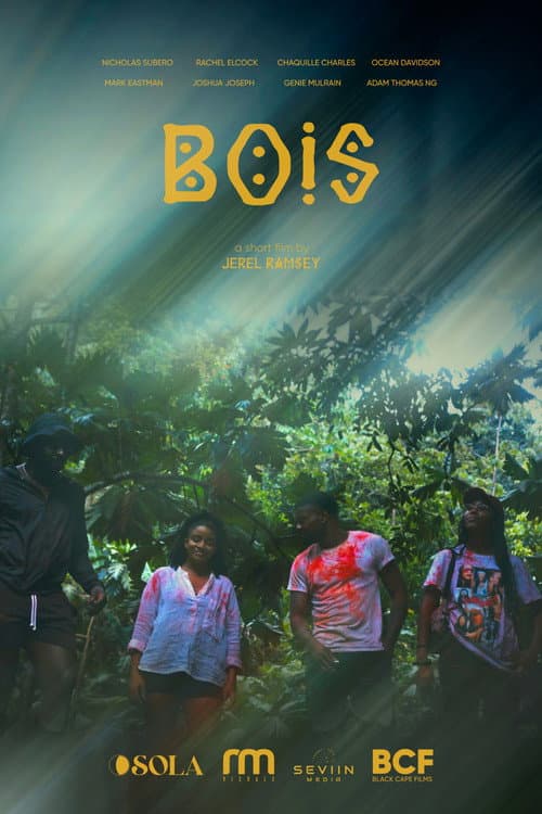 Постер: Bois
