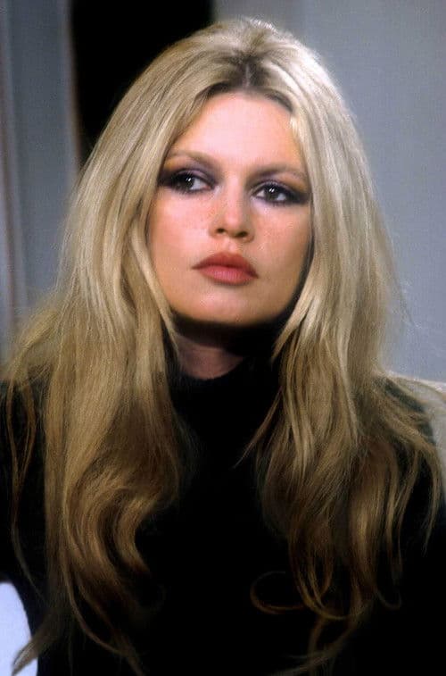 Постер: Brigitte Bardot: The Icon of France