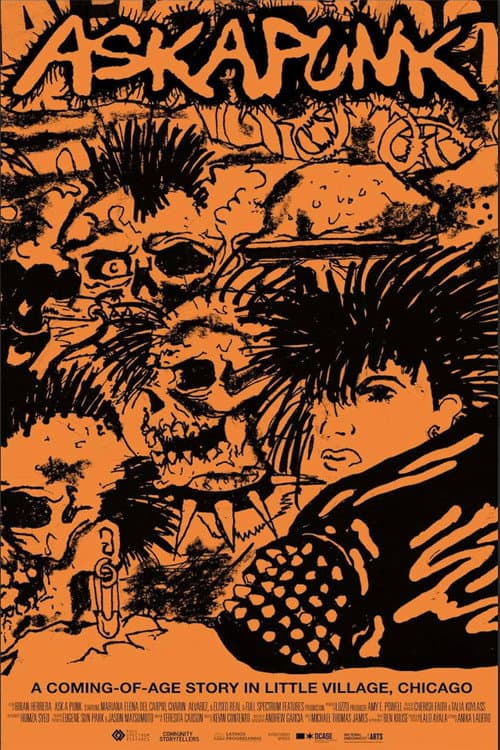 Постер: Ask A Punk