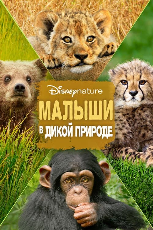 Постер: Малыши в дикой природе