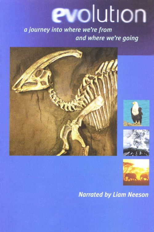 Постер: Evolution - Darwin's Dangerous Idea