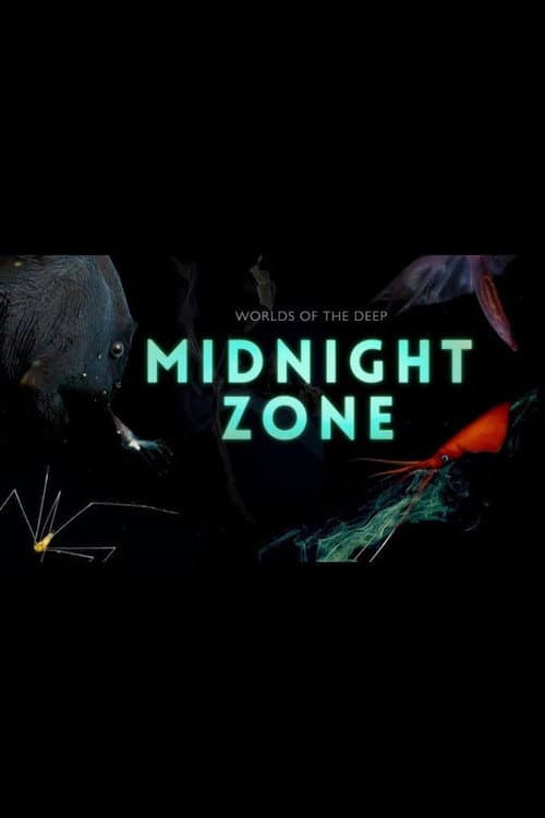 Постер: Into the Midnight Zone