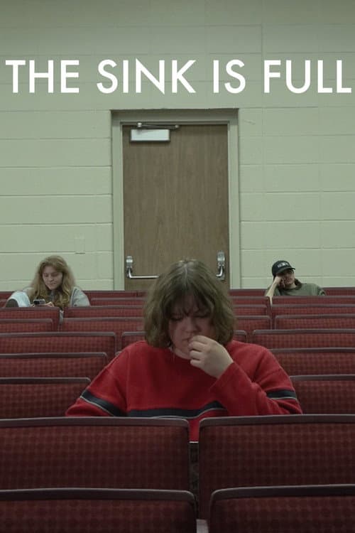 Постер: The Sink is Full