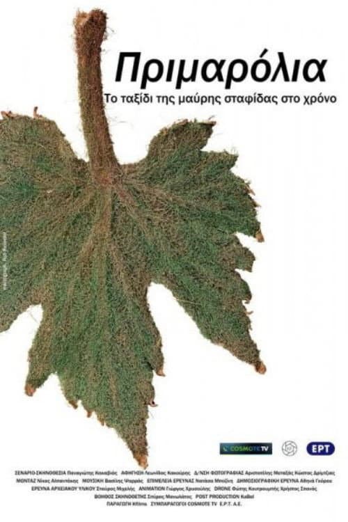 Постер: Πριμαρόλια