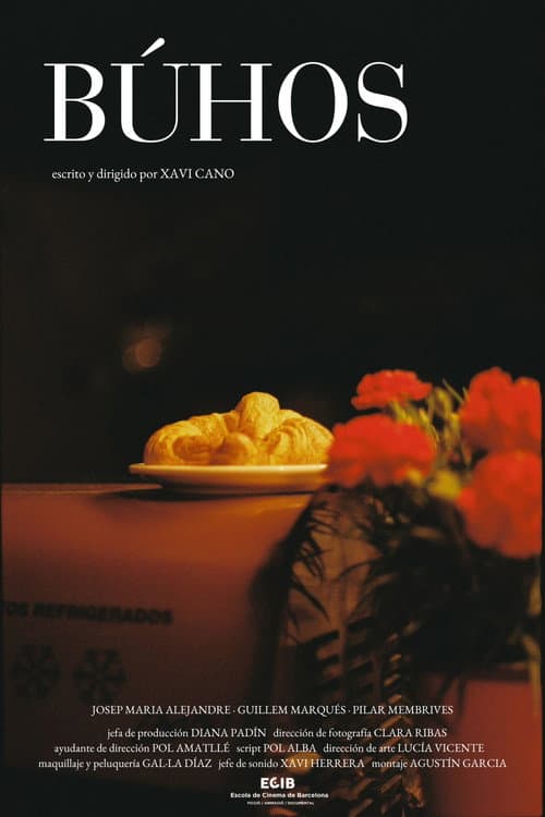 Постер: Búhos