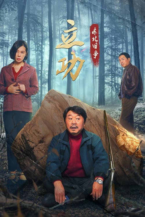 Постер: 立功·东北旧事