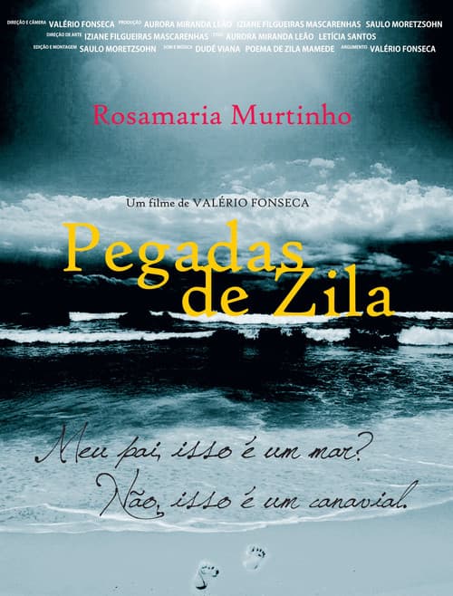 Постер: Pegadas de zila