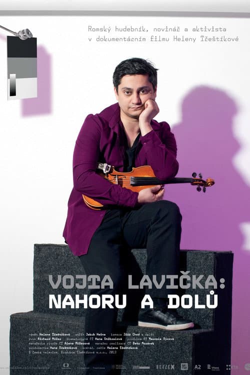 Постер: Vojta Lavička: Nahoru a dolů