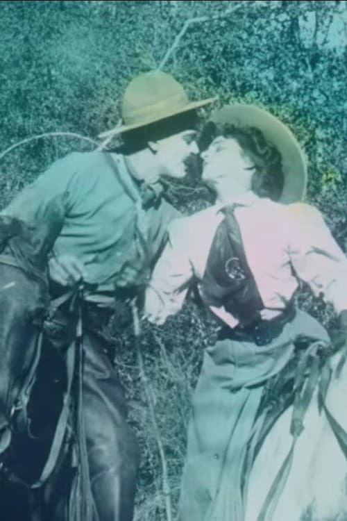 Постер: The Cowboy and the Schoolmarm
