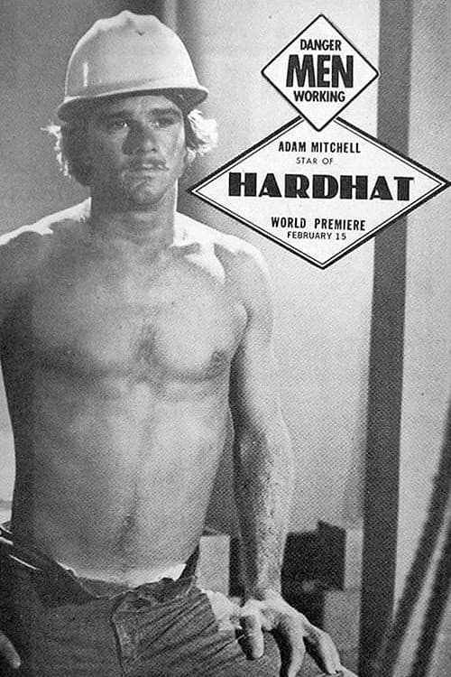 Постер: Hardhat!