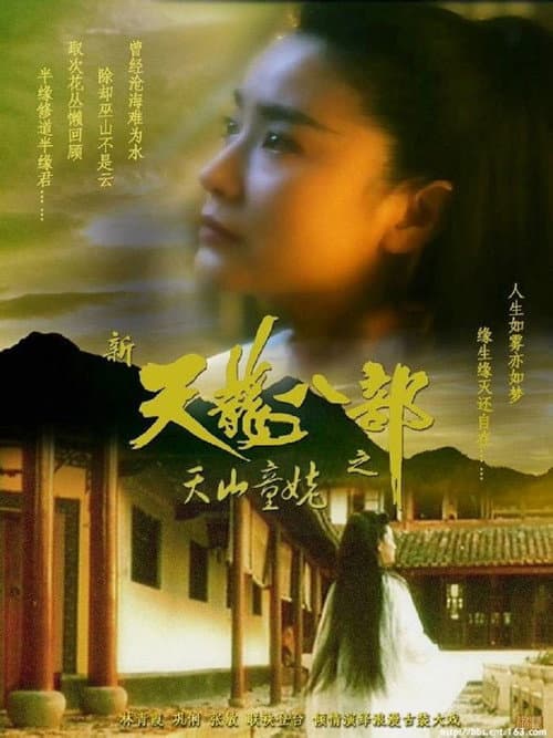 Постер: 新天龍八部之天山童姥