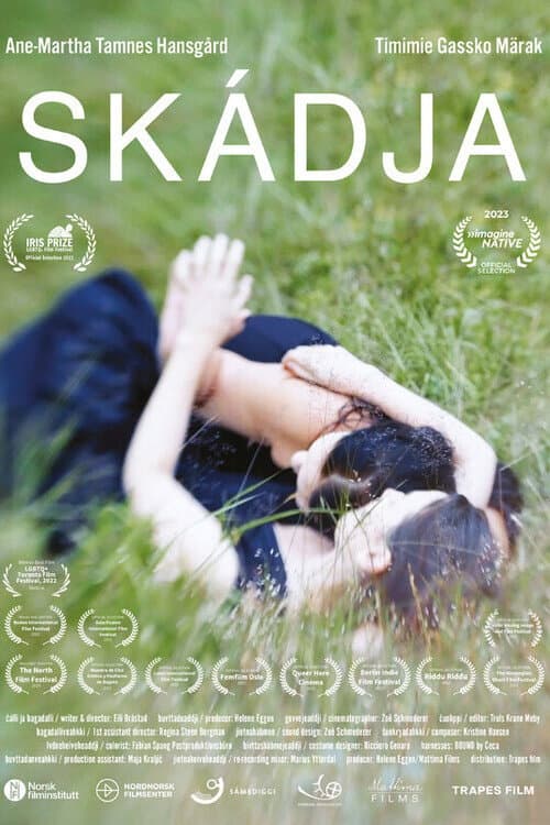 Постер: Skádja