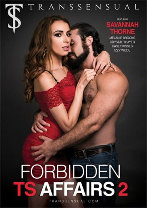 Постер: Forbidden TS Affairs 2
