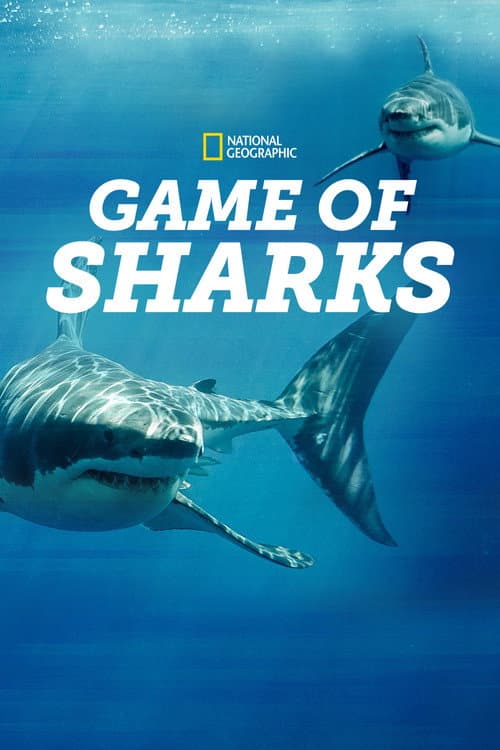 Постер: Game of Sharks