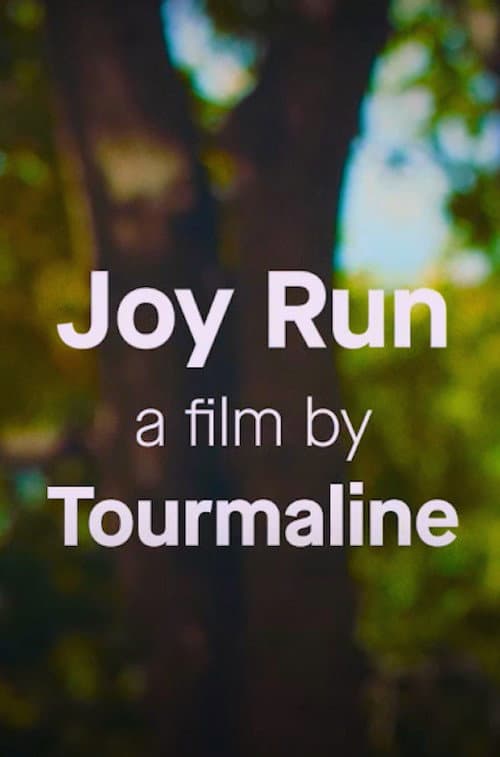 Постер: Joy Run
