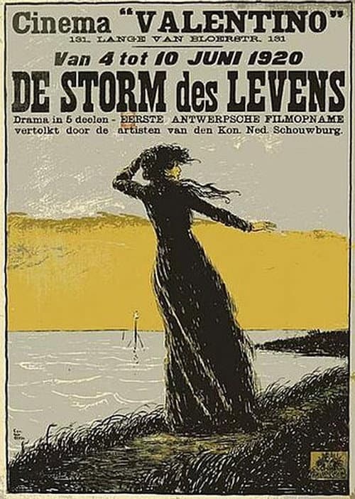 Постер: De Storm des Levens