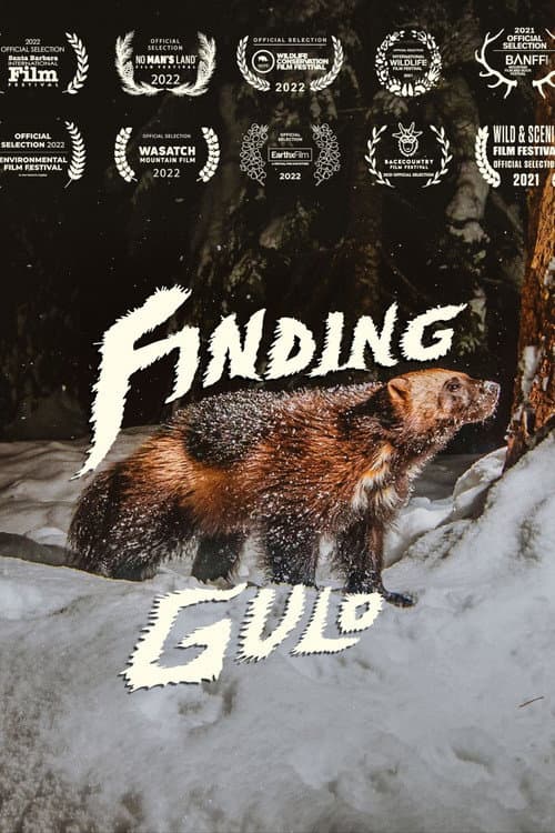 Постер: Finding Gulo