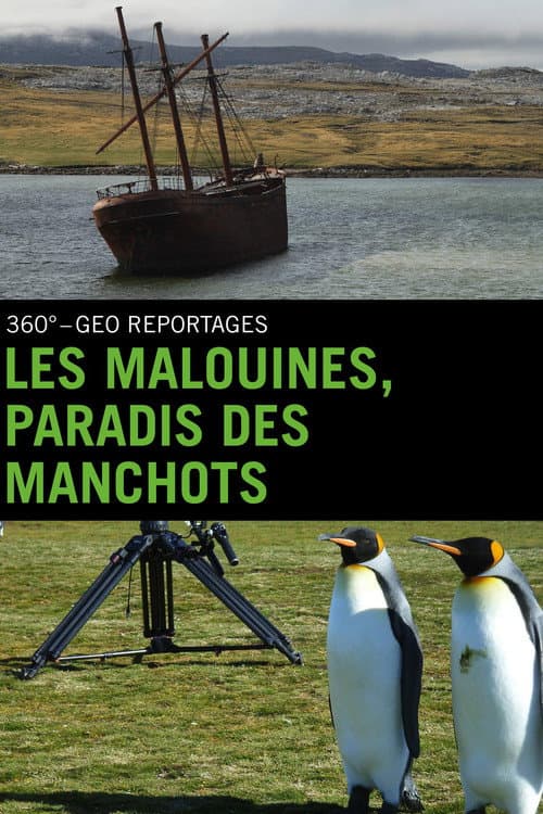 Постер: Falklandinseln : Pinguine auf dem Vormarsch