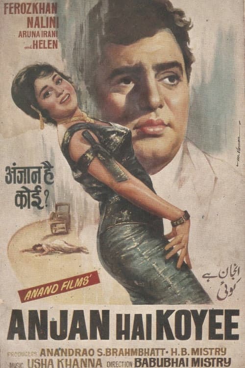 Постер: Anjan Hai Koyee
