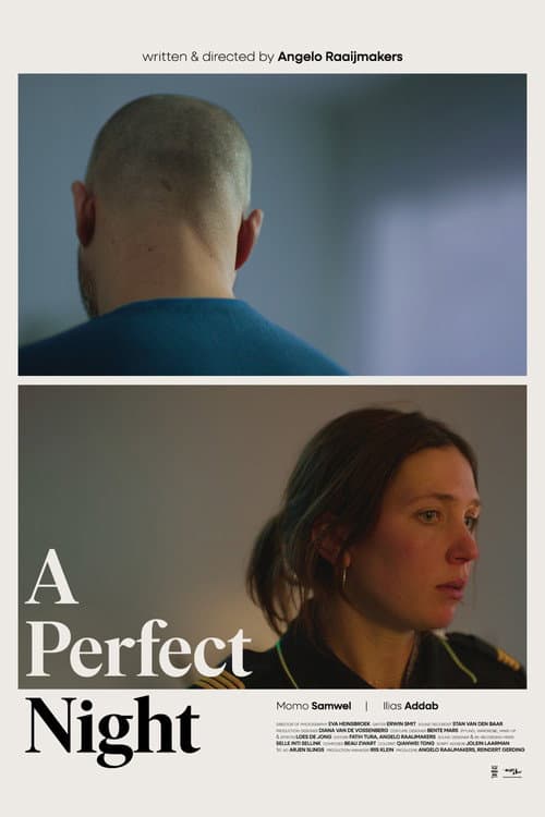 Постер: A Perfect Night