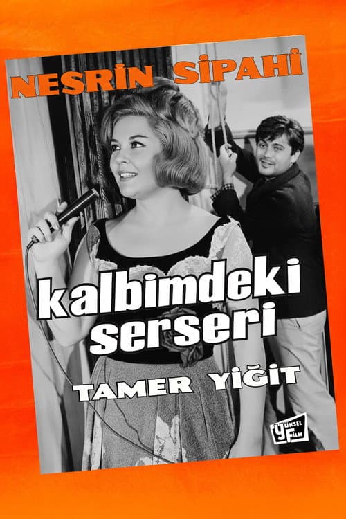 Постер: Kalbimdeki Serseri