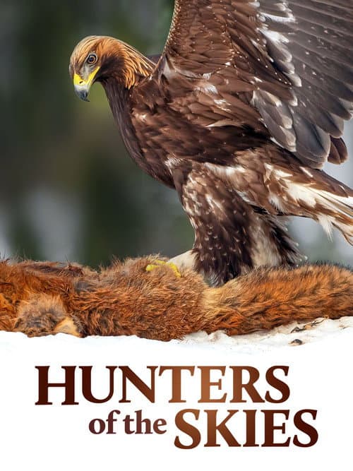 Постер: Hunters of the Skies