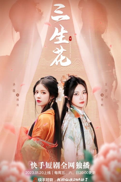 Постер: 三生花