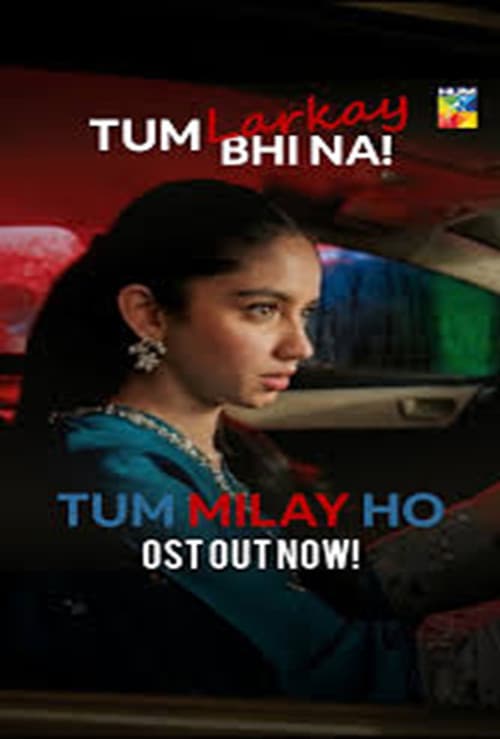 Постер: Tum Milay Ho