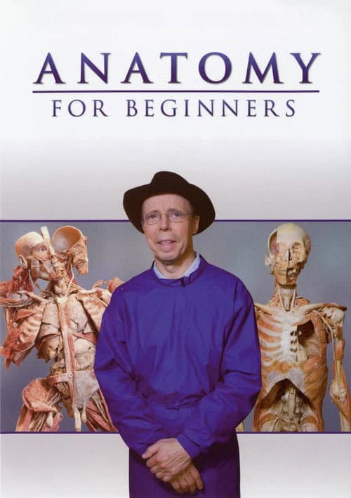 Постер: Anatomy for Beginners