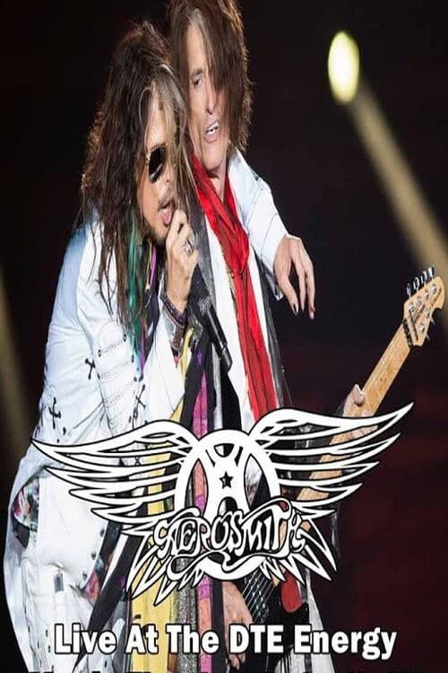 Постер: Aerosmith Live in Detroit